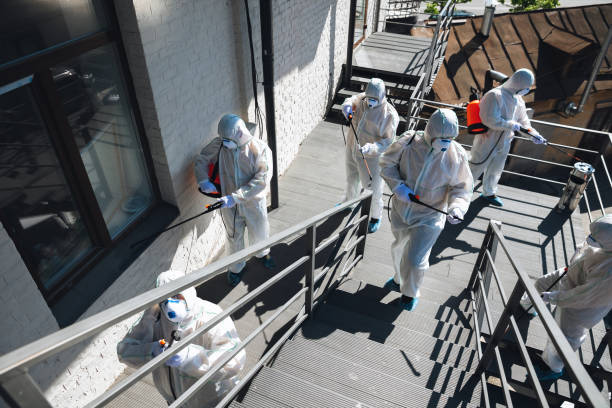 Best HVAC Mold Inspection and Cleaning  in Dalton, GA