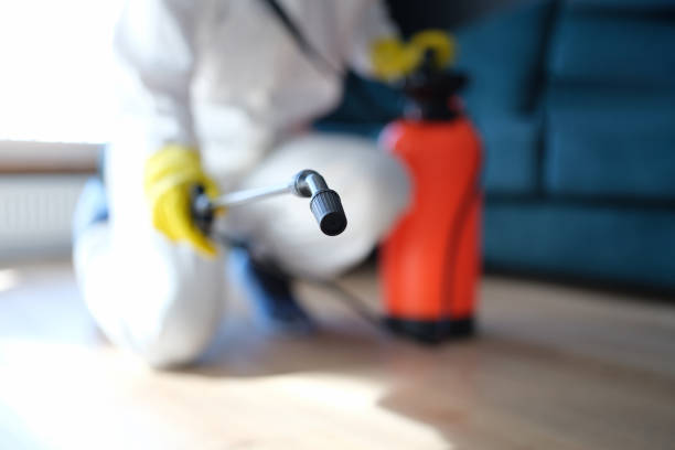 Best Mold Documentation for Insurance Claims  in Dalton, GA