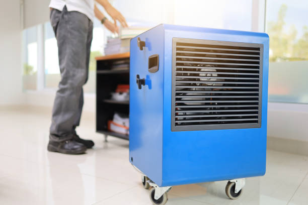 Best Comprehensive Air Testing for Mold Contaminants  in Dalton, GA