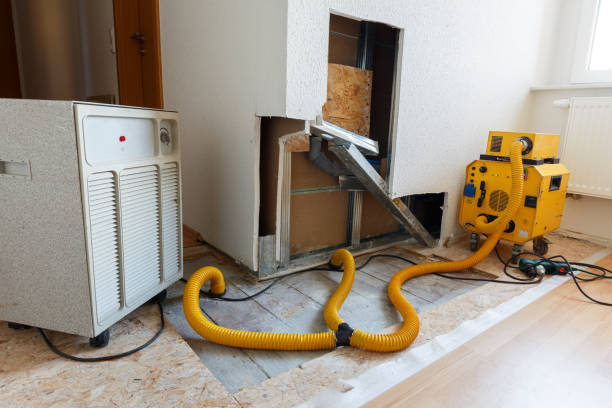 Best Dehumidification Services  in Dalton, GA